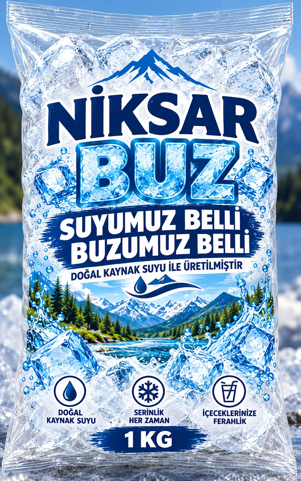 Niksar Buz 1 KG ambalaj tasarımı, ürün sunum görseli